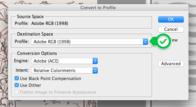 Screenshot from Photoshop showing the color profile options 