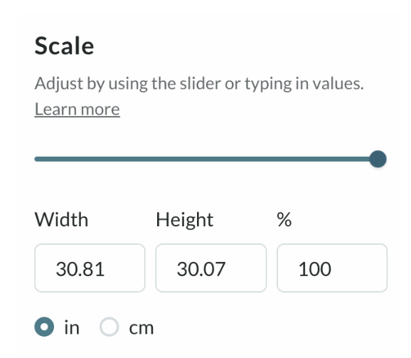 screenshot of scale adjustment options