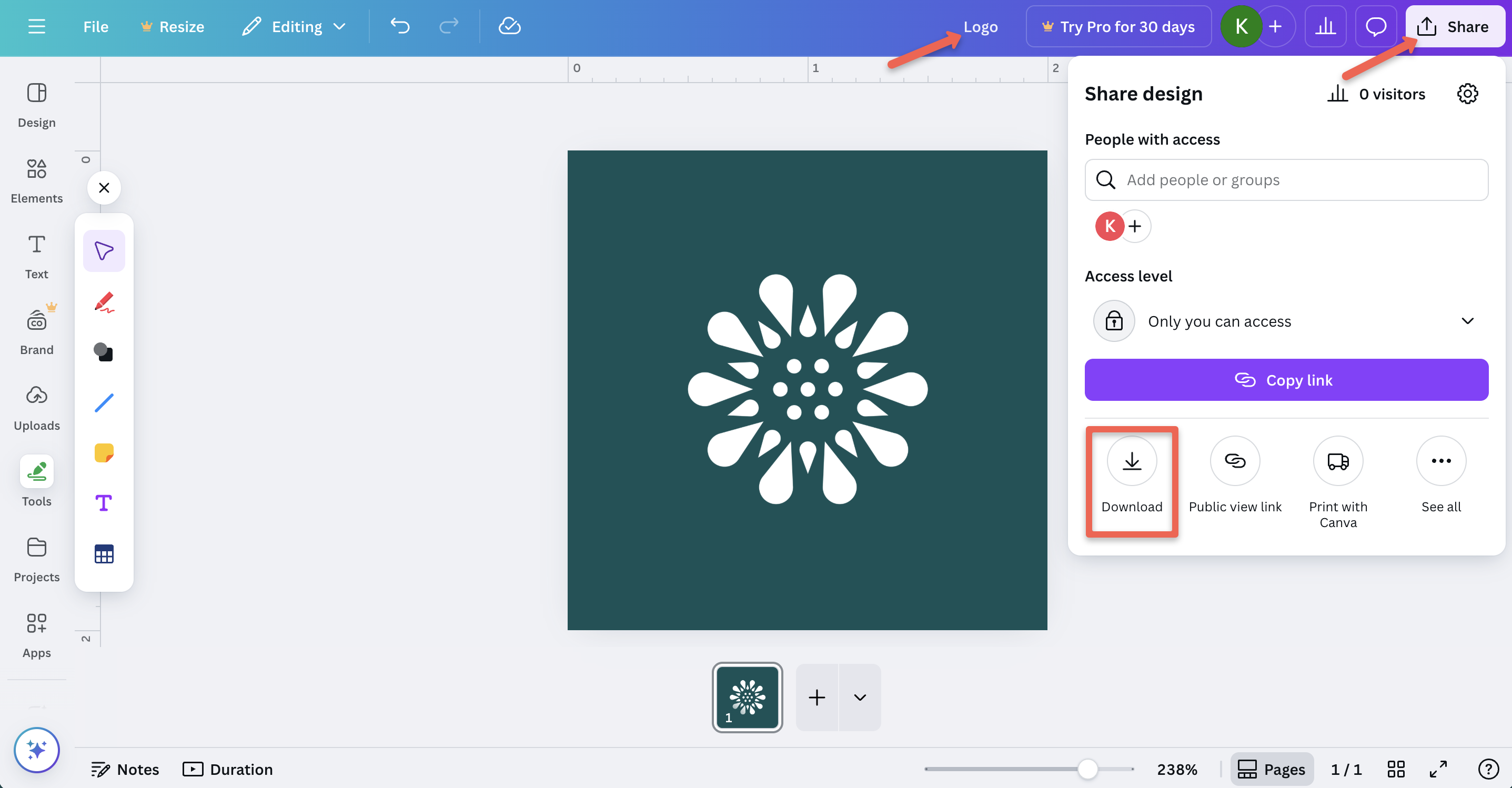 screenshot of share option in canva