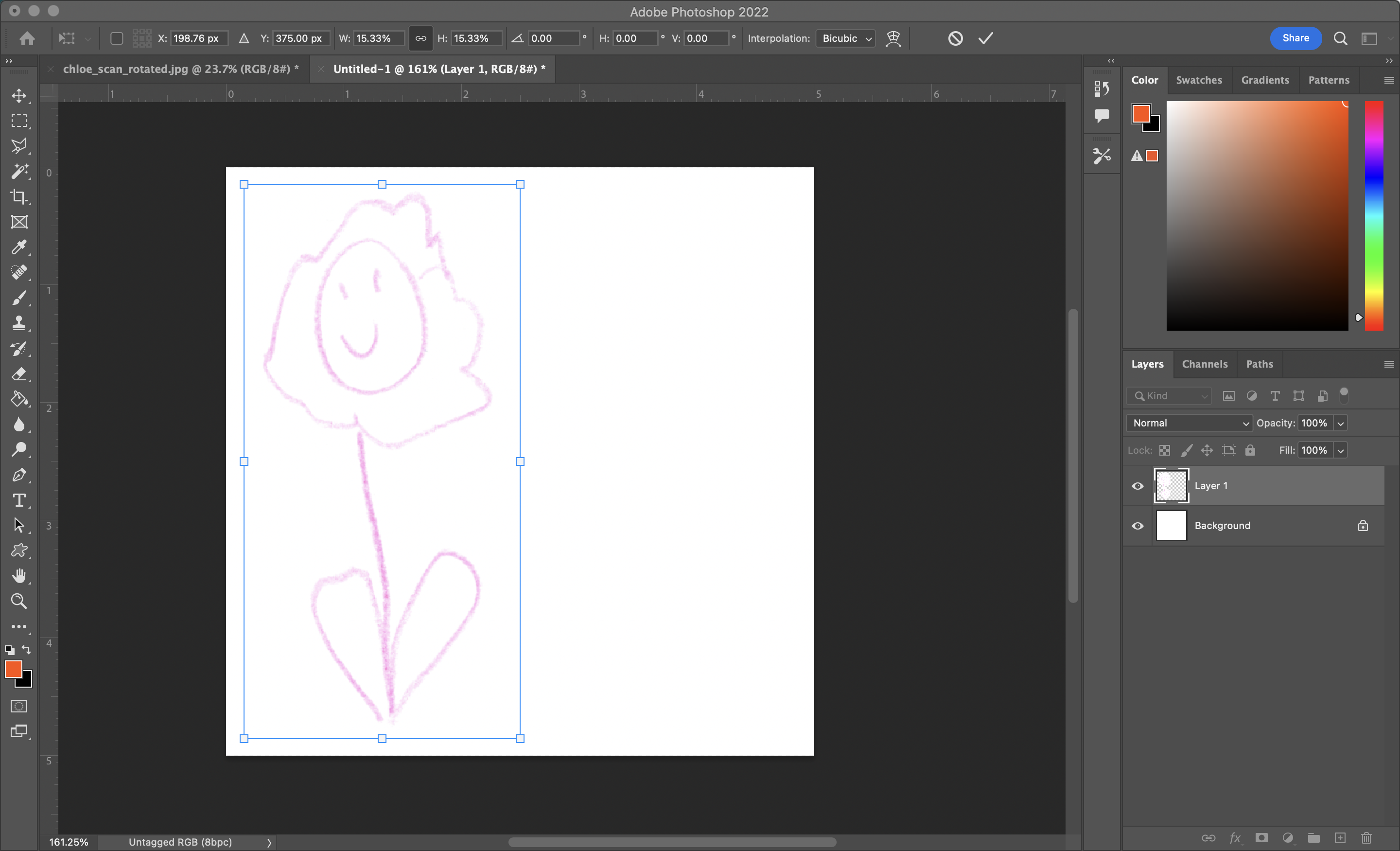 screenshot of flower doodle on white canvas