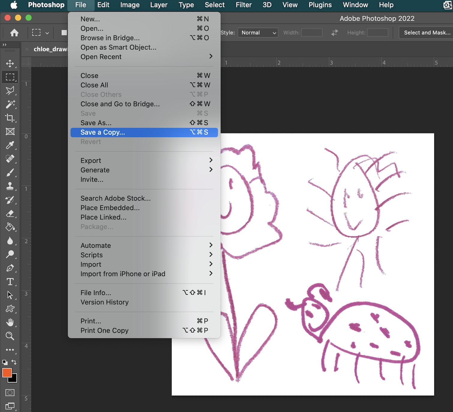screenshot of file/save a copy menu