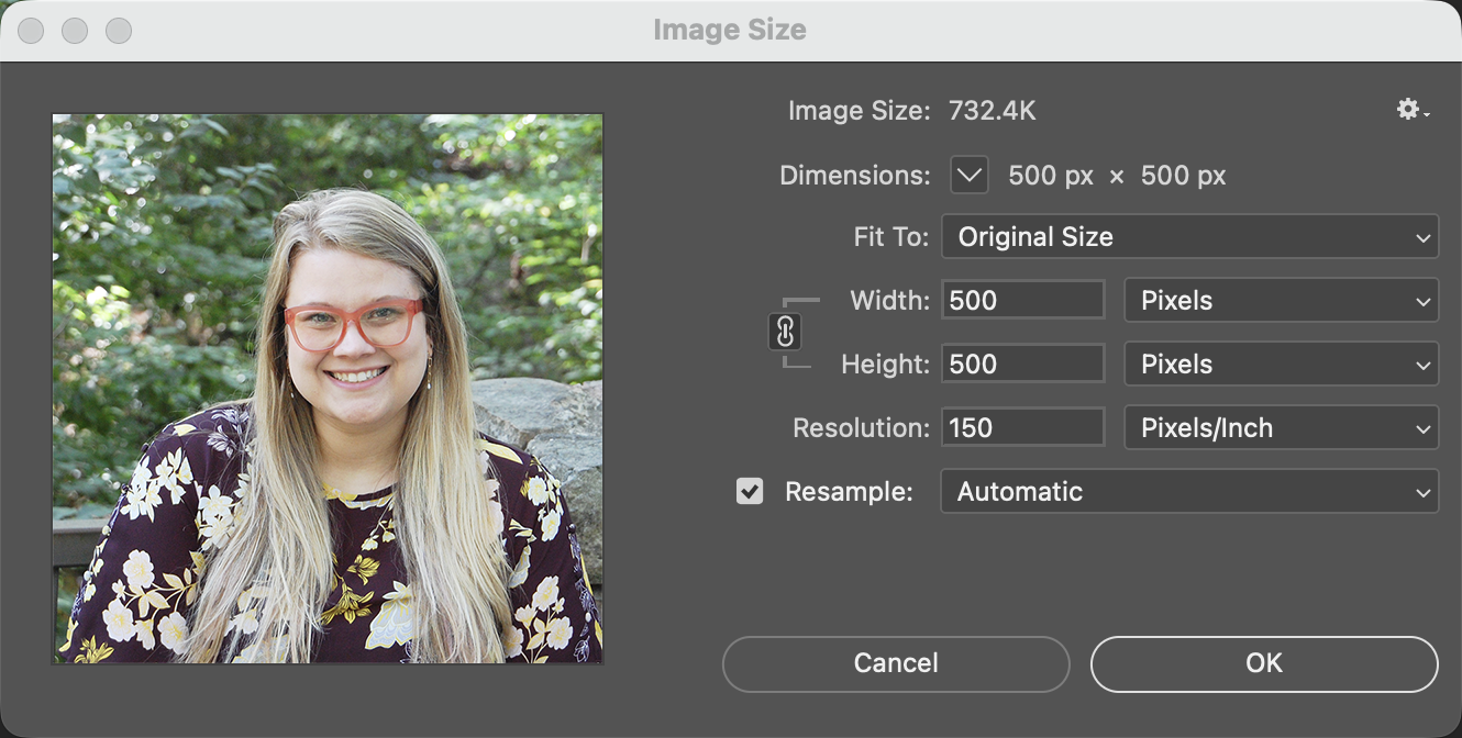 screenshot from photoshop of image size menu showing 500 x 500 pixels